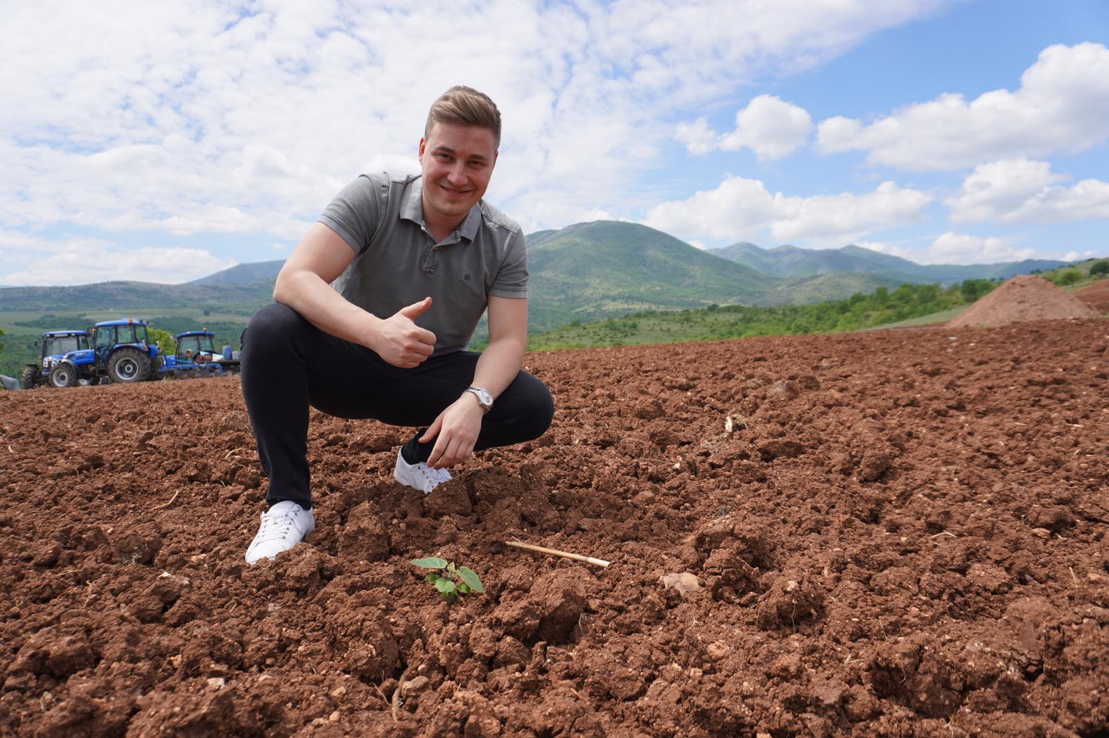 Kiri-Baumpartnerschaft