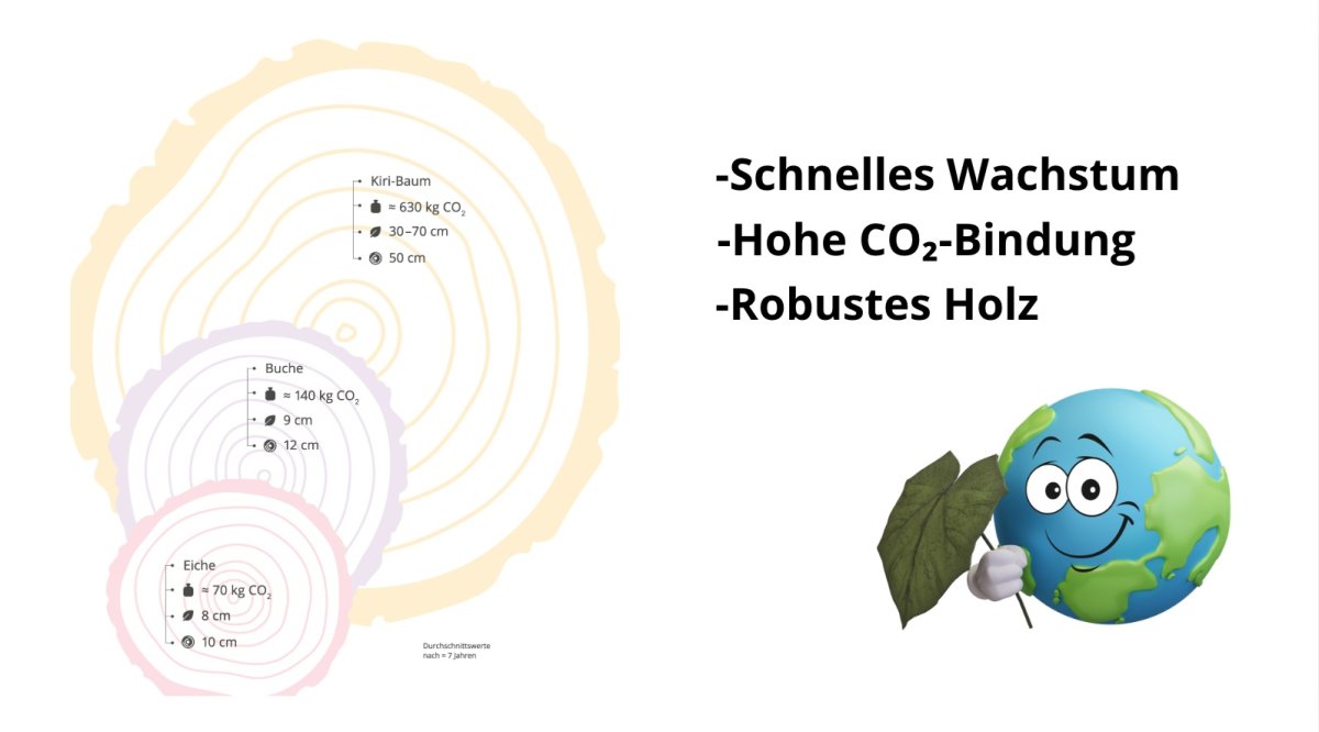 CO₂-Bindung Kiri-Baum im Vergleich